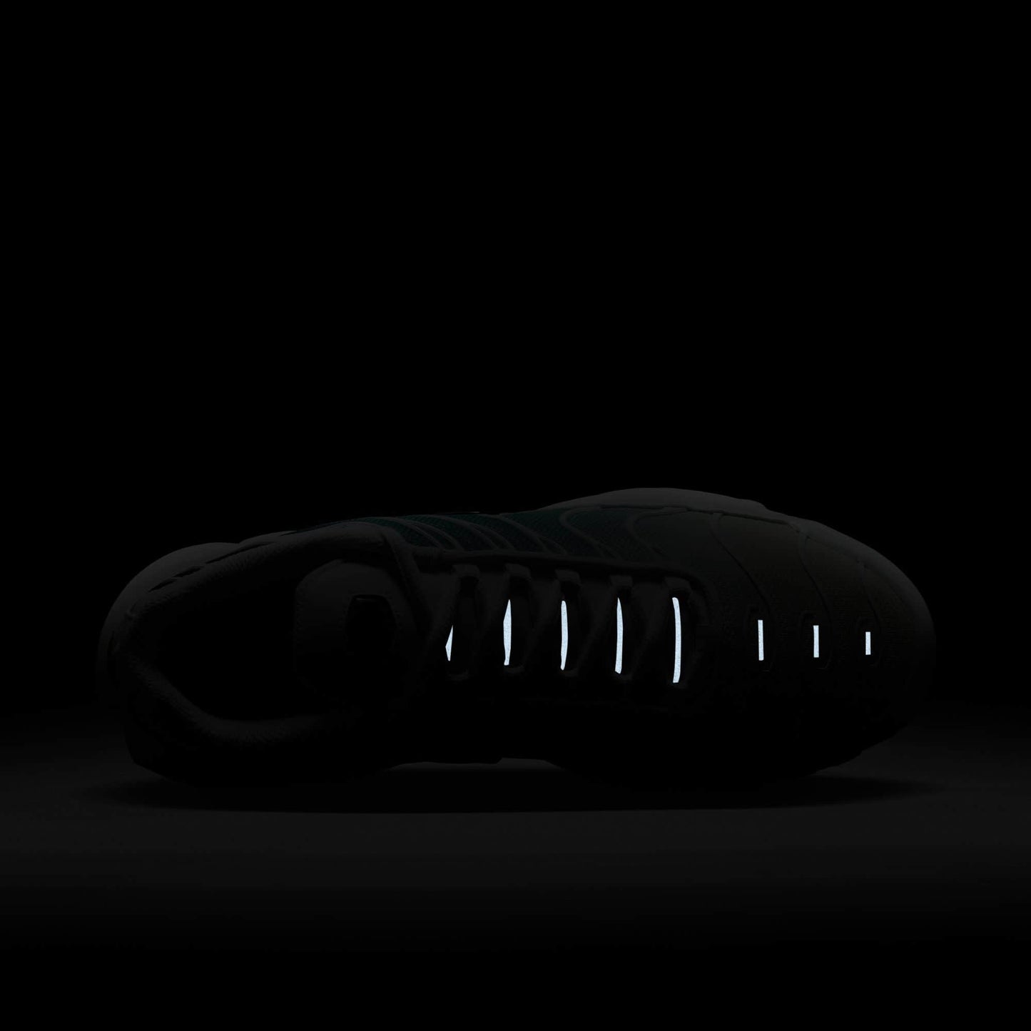 Nike Air Max Plus - Women's